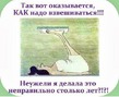 Я тут! 41/90 витаминки