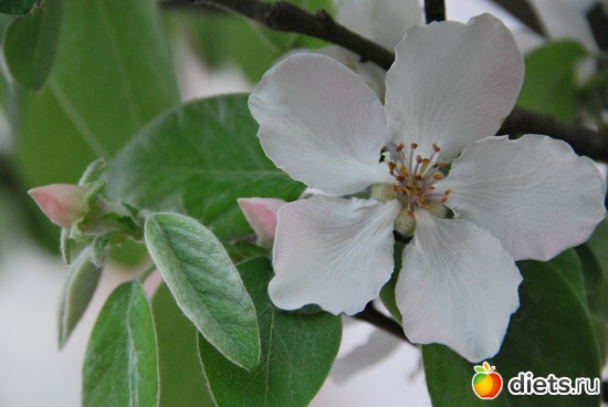 21 ����: ��������