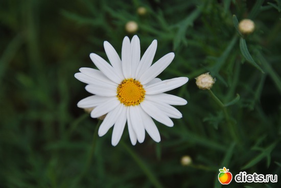 23 ����: ��������