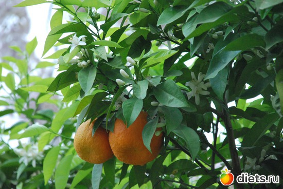 18 ����: ��������