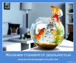 Продолжение следует...