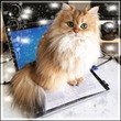 Добрый вечер!!