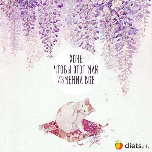 2 ����: aAa