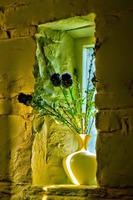 Настоящее счастье!