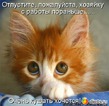 ��� �������� - ��� ���-�� ������� �� �����.
