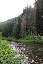 ��� ������ ����������� � ����