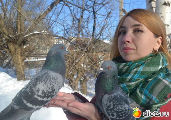 24 ����: Solnce)