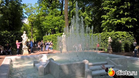 95 фото: Летний сад Петербурга