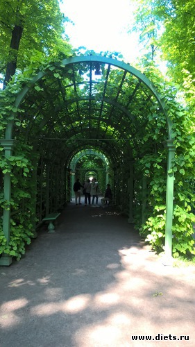 88 фото: Летний сад Петербурга