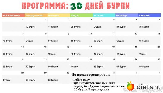 1 ����: �����