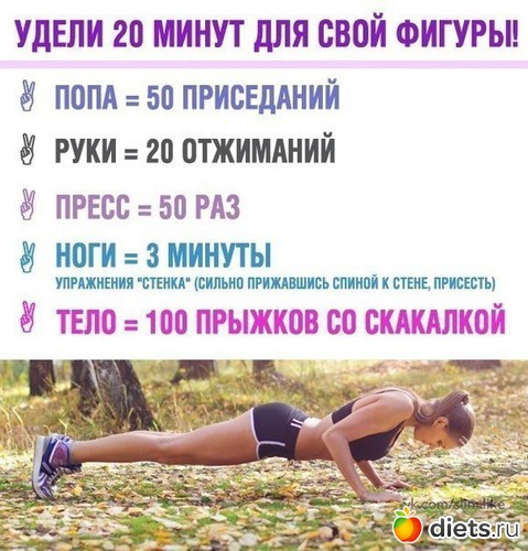 5 ����: �����