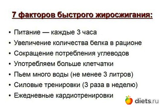 9 фото: питание