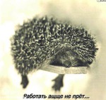 выходные пролетают просто((