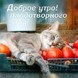 Марафон минус 60, неделя минус 1, день минус 2