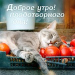 Марафон минус 60, неделя минус 1, день минус 2