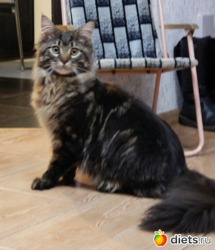 1 ����: ��� ������� �����)))