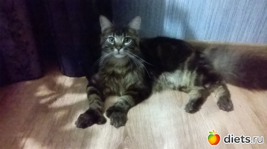 2 ����: ��� ������� �����)))