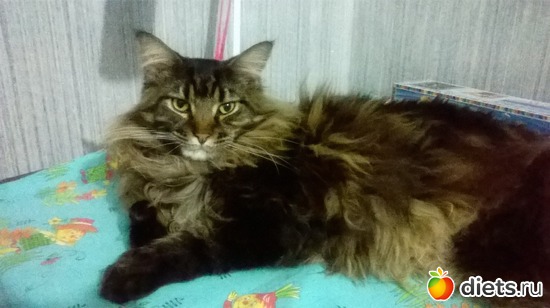 5 ����: ��� ������� �����)))