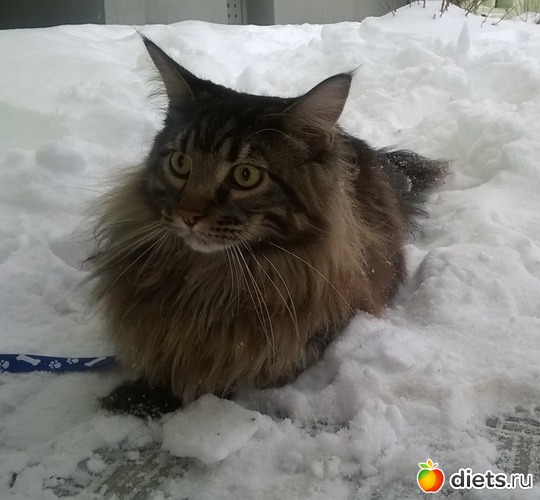 7 ����: ��� ������� �����)))