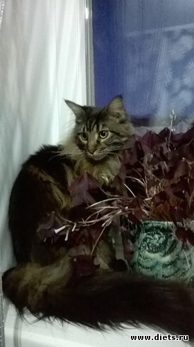 8 ����: ��� ������� �����)))