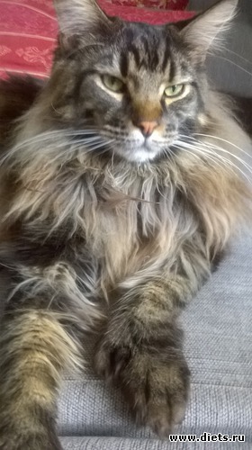 9 ����: ��� ������� �����)))