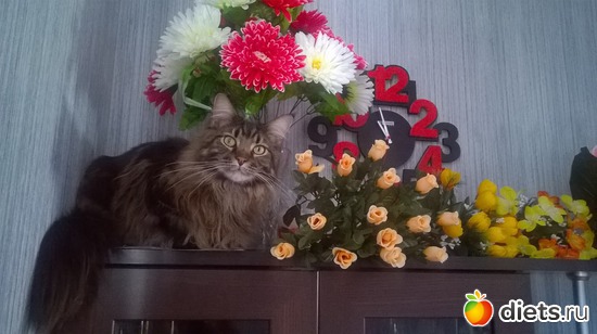 11 ����: ��� ������� �����)))