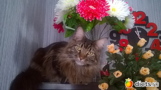 12 ����: ��� ������� �����)))