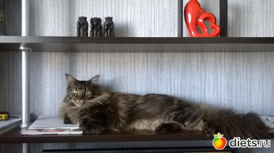 13 ����: ��� ������� �����)))