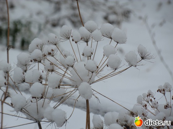 Белым бело...