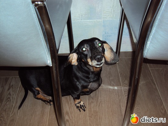 47 ����: ��� ����� �����