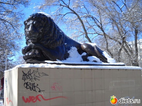 лев под снегом