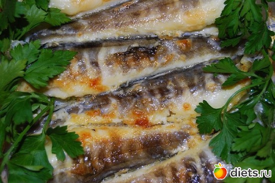 1 ����: ��� ������� �����.