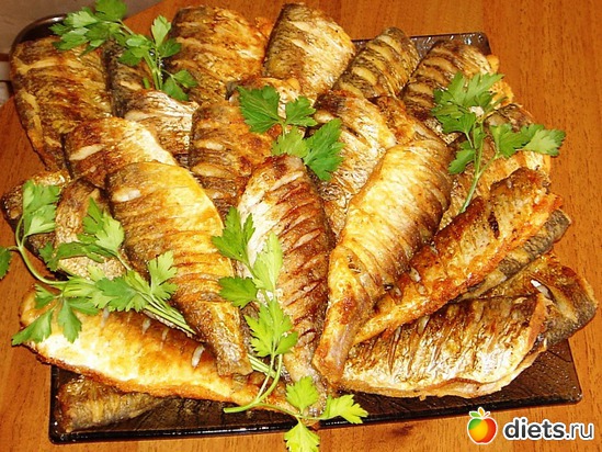 22 ����: ��� ������� �����.