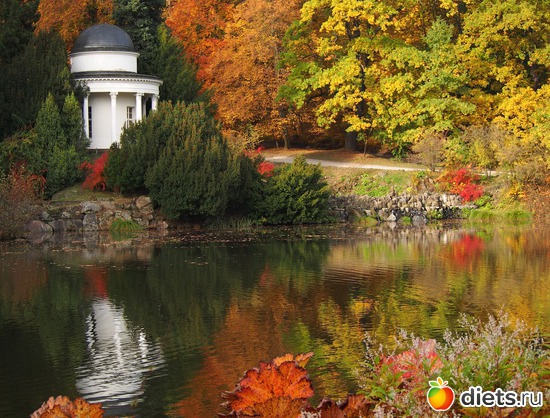 6 ����: Kassel, Bergpark "Herkules", 1.11.2016