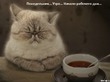 Марафон минус 60, неделя 1, день 4