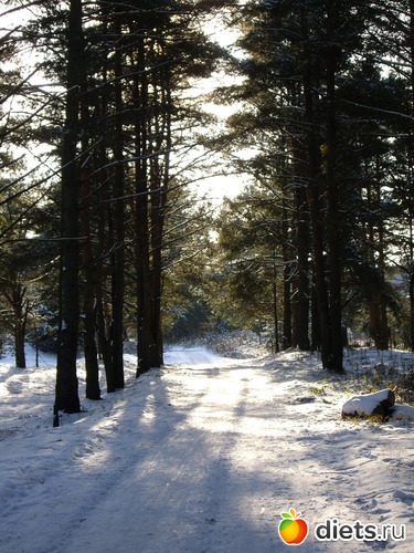 2 ����: ���������� ��������