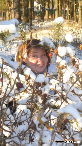 3 ����: ���������� ��������