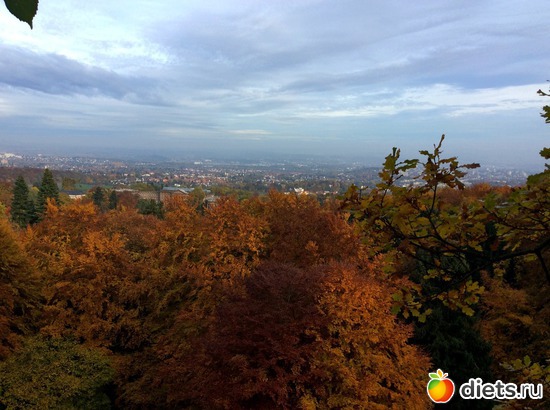 16 ����: Kassel, Bergpark "Herkules", 1.11.2016