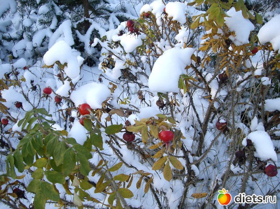 4 ����: ���������� ��������