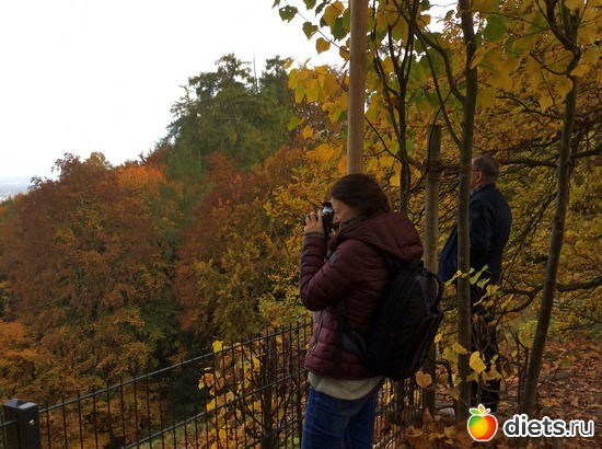 18 ����: Kassel, Bergpark "Herkules", 1.11.2016