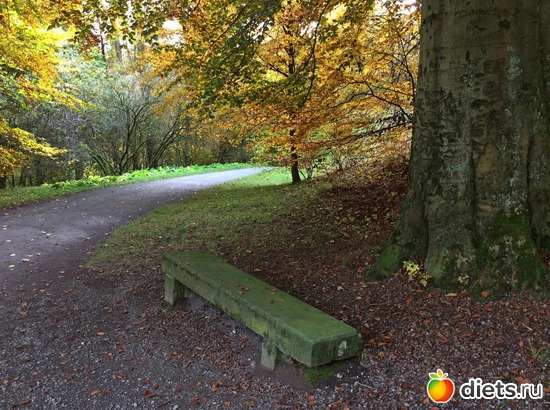 19 ����: Kassel, Bergpark "Herkules", 1.11.2016