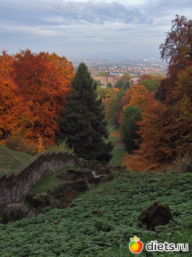 21 ����: Kassel, Bergpark "Herkules", 1.11.2016