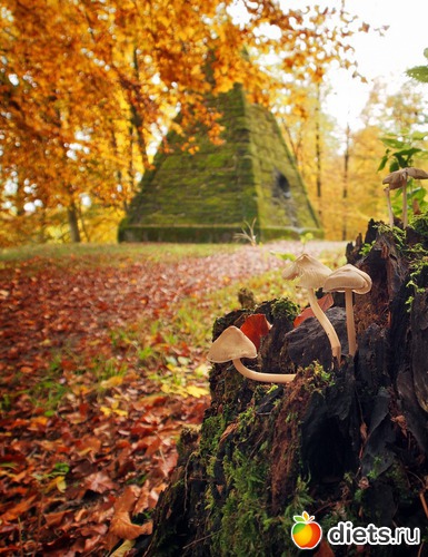 22 ����: Kassel, Bergpark "Herkules", 1.11.2016