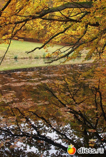 25 ����: Kassel, Bergpark "Herkules", 1.11.2016