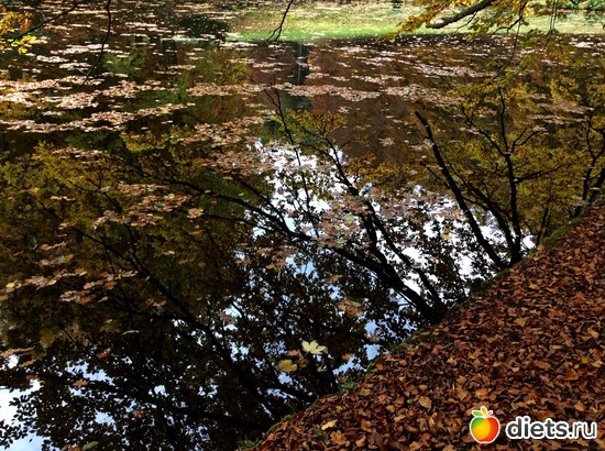 26 ����: Kassel, Bergpark "Herkules", 1.11.2016