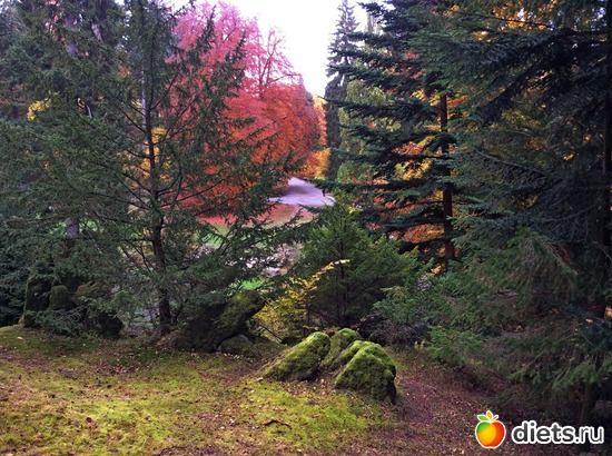 28 ����: Kassel, Bergpark "Herkules", 1.11.2016