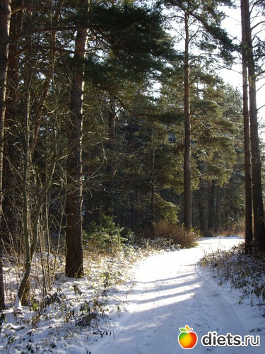 5 ����: ���������� ��������