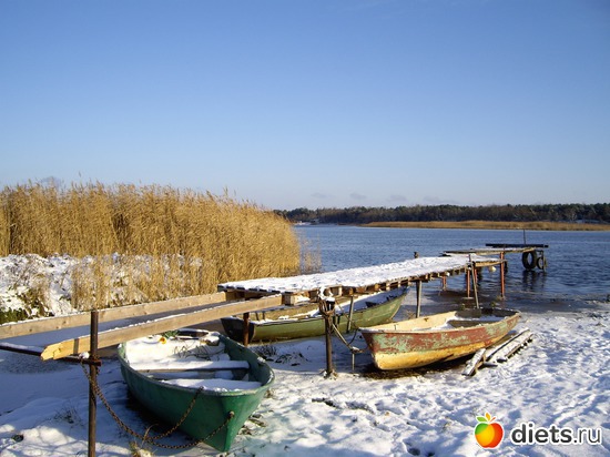 8 ����: ���������� ��������