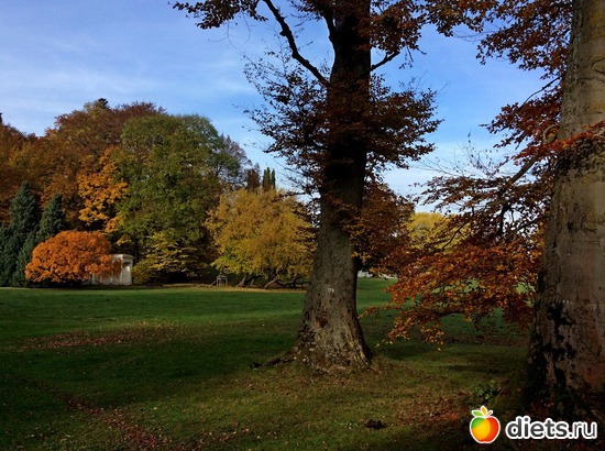 1 ����: Kassel, Bergpark "Herkules", 1.11.2016