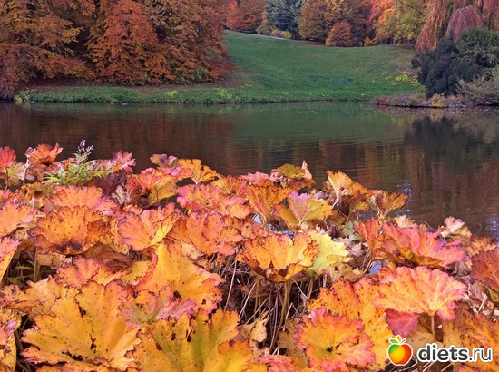 3 ����: Kassel, Bergpark "Herkules", 1.11.2016